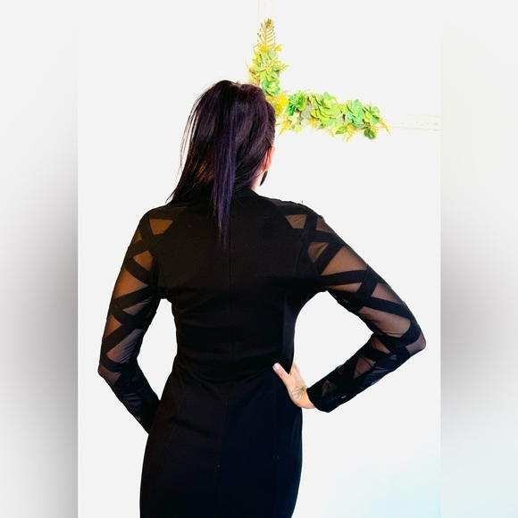 Muse Boston proper exclusive little black dress V neck long sleeve mesh sheer - Picture 3 of 11